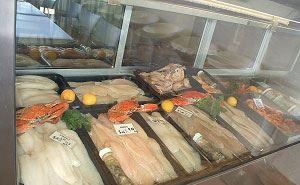 Coolum Seafoods - Sydney Tourism 6