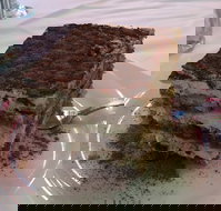 La Trattoria - Sydney Tourism