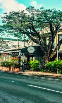Journey Cafe & Bar - Sydney Tourism 3