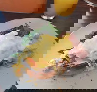 Stock Bar  Grill - Sydney Tourism