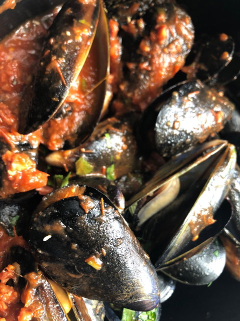 Montville Cafe Bar And Grille - Sydney Tourism 3