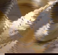 Gelato Classico Noosa Italian Cafe