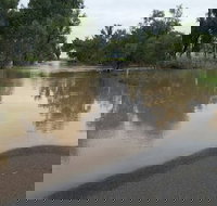 Menzies Steakhouse - Sydney Tourism