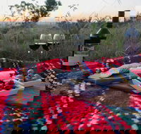 Bunnyconnellen Olive Grove  Vineyard - Sydney Tourism