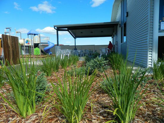 Crinum QLD Sydney Tourism