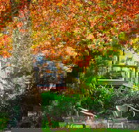 The Woods Ravensbourne - Sydney Tourism