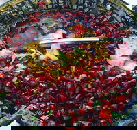 Red Chilli Sichuan Burwood - Sydney Tourism