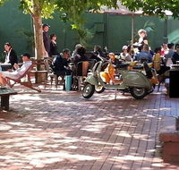 Alleycat Cafe - Sydney Tourism