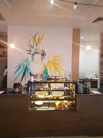 Armstrong Creek ACT Sydney Tourism