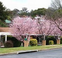 White Lanterns Motel - Sydney Tourism