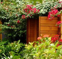 Pink Flamingo - Sydney Tourism