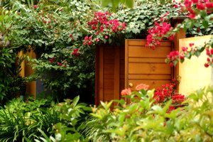 Pink Flamingo - Sydney Tourism 0