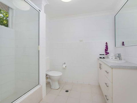 Cairns City Palms - Sydney Tourism 1