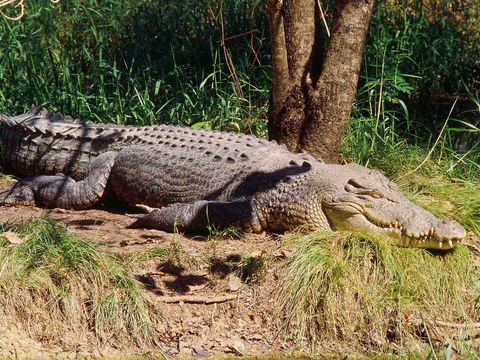 Novotel Darwin Atrium - Sydney Tourism 16