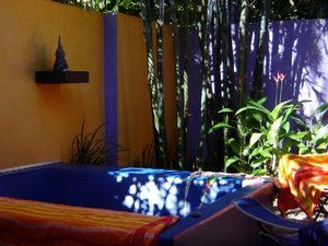 Pink Flamingo - Sydney Tourism 1