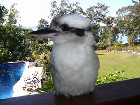 Yarrandabbi Dreaming Boutique B&B - Sydney Tourism 2