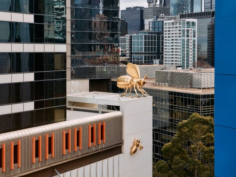 Mercure Newcastle - Sydney Tourism 15