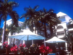 Alamanda Palm Cove - Sydney Tourism 1