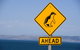 Kangaroo Island Seafront - thumb 43