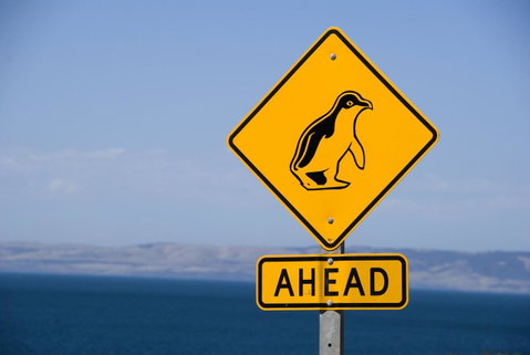Kangaroo Island Seafront - Sydney Tourism 43