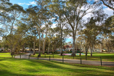 Discovery Parks - Clare - Sydney Tourism 19