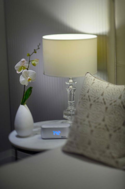 Mayfair Hotel - Sydney Tourism 13
