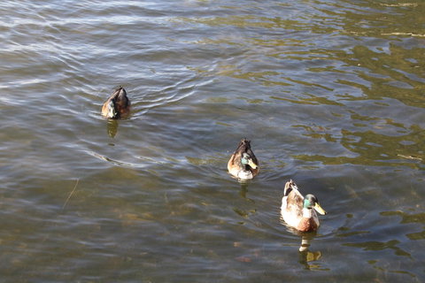 Serenity On Narrabeen Beach - 1Bdr Beachside Retreat - Sydney Tourism 15