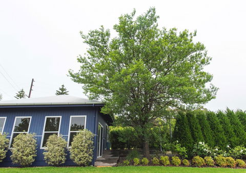 S T U D I O 22 Peaceful Retreat With Garden Views - Sydney Tourism 11