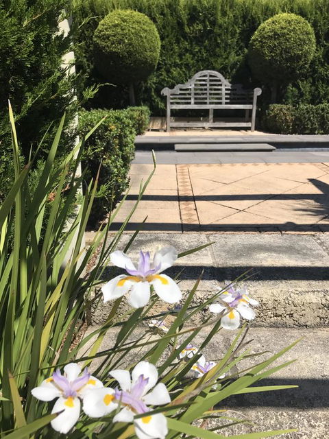 S T U D I O 22 Peaceful Retreat With Garden Views - Sydney Tourism 13