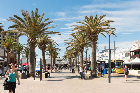Luxury Beachside Accomodation - Sydney Tourism 16