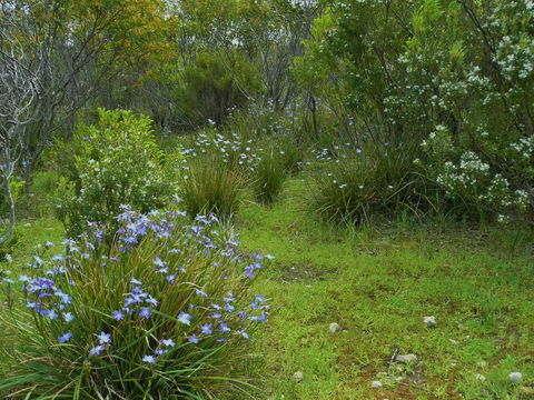 Kestrel Downs - Sydney Tourism 32