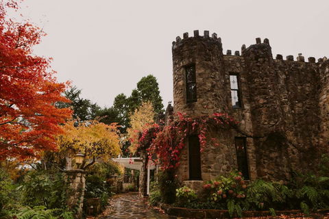 The Manor Basket Range - Sydney Tourism 15
