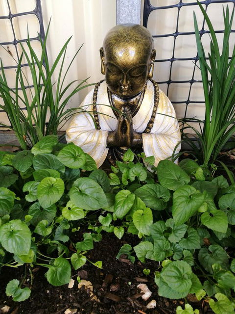 Hilda Anna's - Sydney Tourism 44