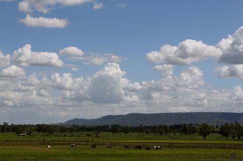 Isis Motel Scone - Sydney Tourism 5