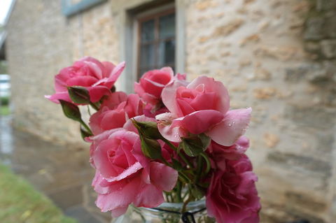 Amy\'s House Bed & Breakfast - Sydney Tourism 30