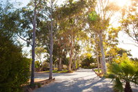 Book Tumby Bay Accommodation Vacations Sydney Tourism Sydney Tourism
