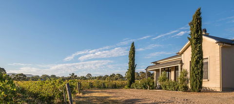 Barossa Shiraz Estate - Sydney Tourism 13