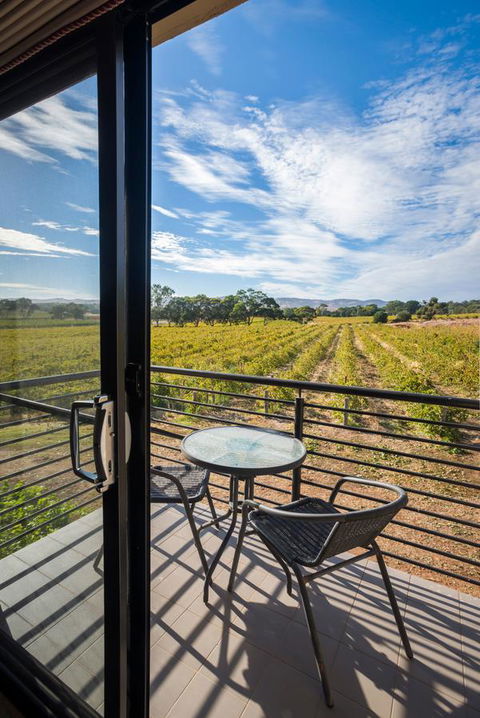 Barossa Shiraz Estate - Sydney Tourism 33