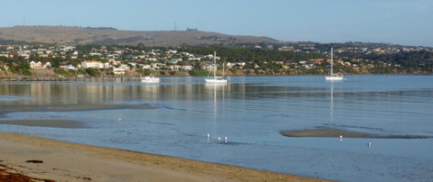 Hilton Beachfront Motel - Sydney Tourism 43