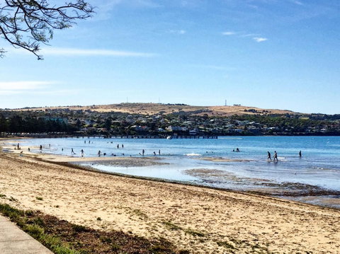 Hilton Beachfront Motel - Sydney Tourism 25