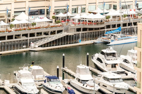 Beachside Luxury & Comfort, Ocean Views In Glenelg - Sydney Tourism 6
