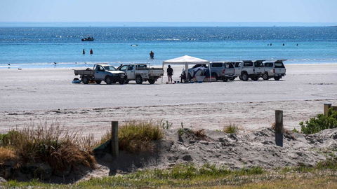 Wallaroo Holiday Park - Sydney Tourism 9