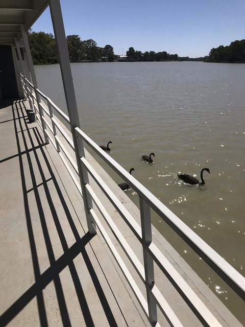 Murray River Queen - Sydney Tourism 7