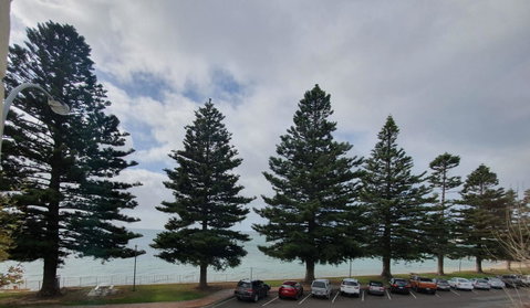 Pier Hotel Port Lincoln - Sydney Tourism 12