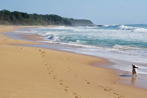 Culburra Beachhouse - Sydney Tourism 7