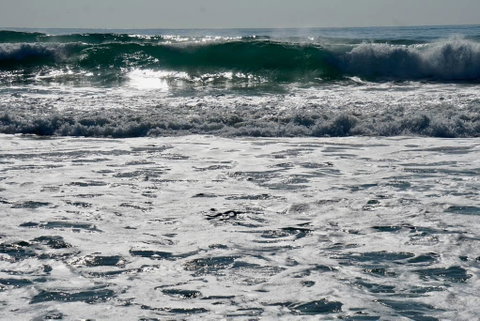 Culburra Beachhouse - Sydney Tourism 10