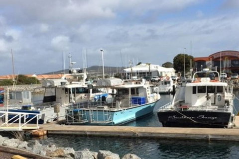 Port Lincoln Shark Apartment 2 - Sydney Tourism 17