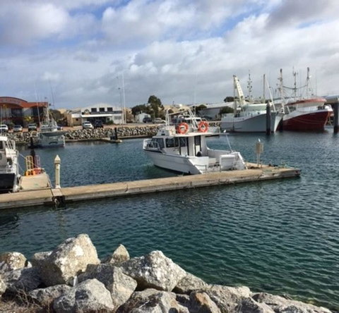 Port Lincoln Shark Apartment 2 - Sydney Tourism 18