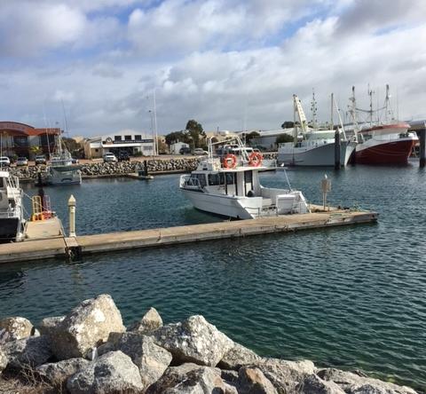 Port Lincoln Shark Apartment 3 - Sydney Tourism 1