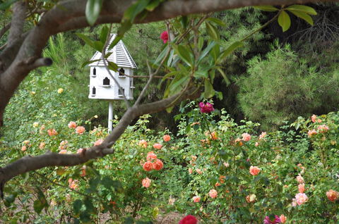The Lyndoch Motel - Sydney Tourism 2